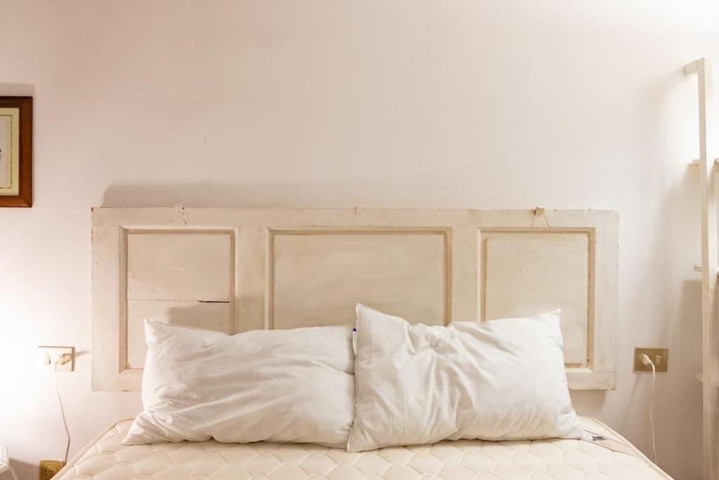 Classic Florentine Flat Near Piazza Santa Croce Florence Ngoại thất bức ảnh